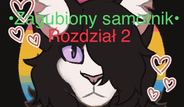 •Zagubiony samotnik• rozdział 2