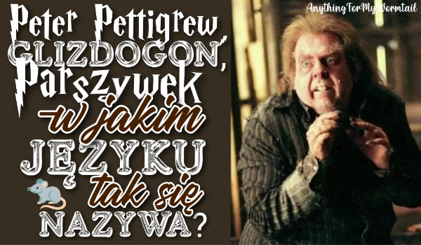 Peter Pettigrew, Glizdogon, Parszywek – w jakim języku tak się nazywa?