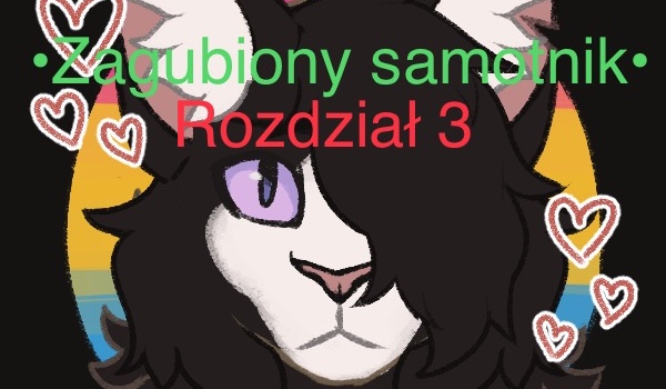 •Zagubiony samotnik• rozdział 3