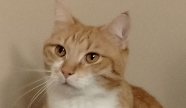 Oceniam moich przyjaciół- pt 1