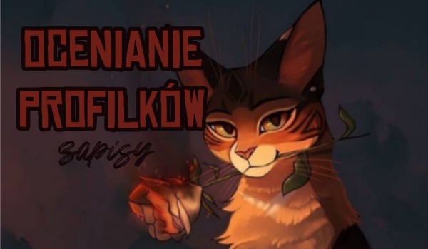 Ocenianie profilków cz. 3