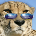 supergepard123