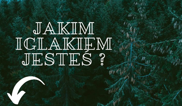 Jakim iglakiem jesteś?