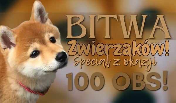 Bitwa zwierzaków! Specjal z okazji 100 Obs!