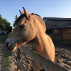 Xxxxxlena