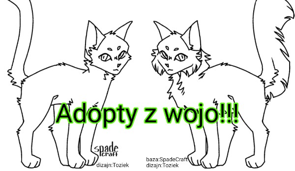 Wojownicy Adopty!