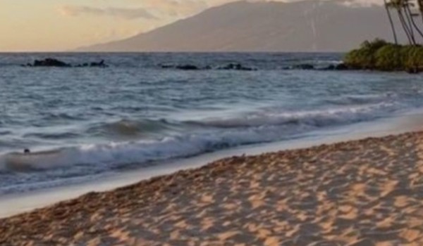 JAKĄ EMOTKĄ JESTES!?