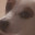 Lupi-shing