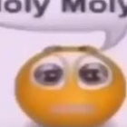 ilovebigcatjoseph