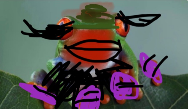 Żaba która lubi make up