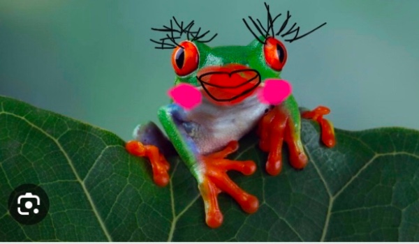 Żaba która lubi make up 2