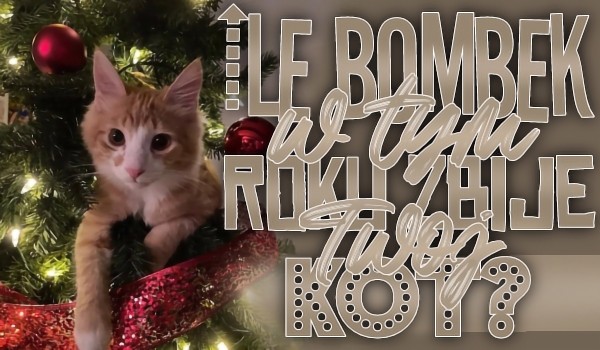 Ile bombek w tym roku zbije Twój kot?