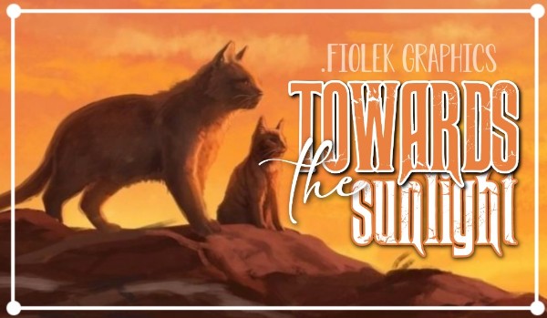 ⁠☆⁠Towards the sunlight☆ |Chapter two|
