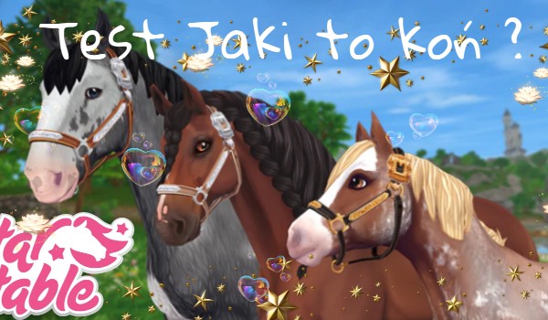 Test Jaki to koń?