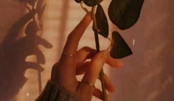 Jak dobrze znasz Fancie!?-Sprawdz to