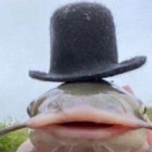 mops_klops