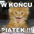 OSKARITOPAPITO