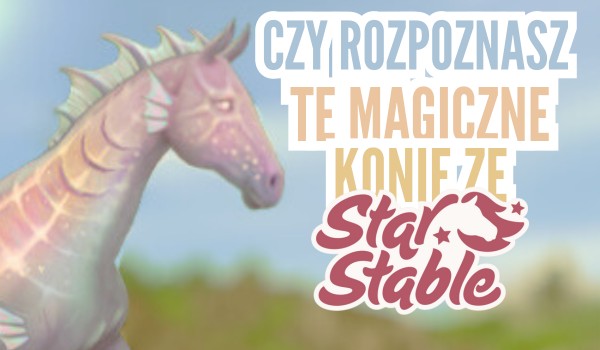 Czy rozpoznasz te magiczne konie ze Star Stable?