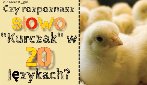Czy rozpoznasz słowo „Kurczak” w 20 językach?