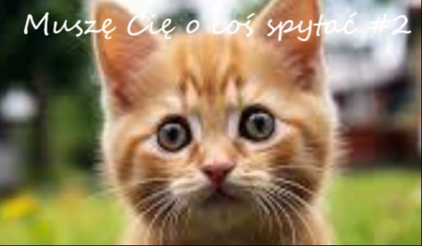 Muszę Cię o coś spytać #3