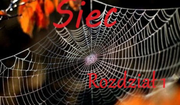 sieć – rozdział 1