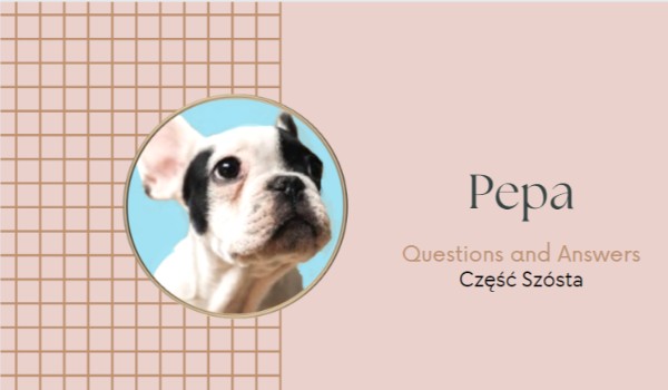 Pepa – QnA • Część Szósta