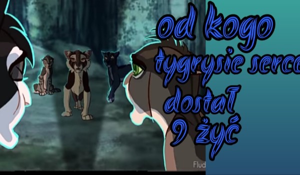 Wielki test o wojownikach 3