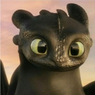 Toothless333