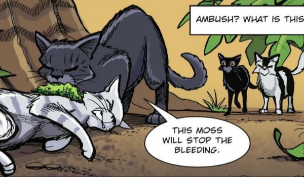 Fire & Ice clan 2rozdzial