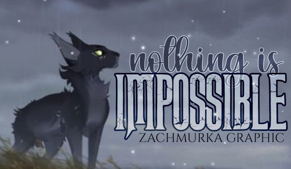 nothing is impossible… • Chapter two •
