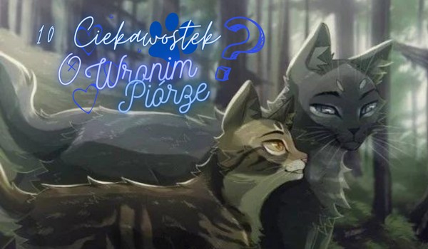 10 Ciekawostek o Wronim Piórze