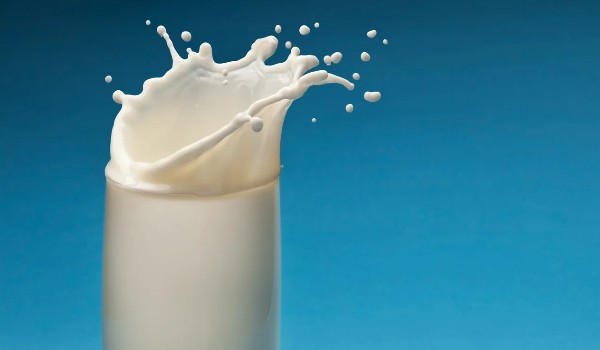 filip to kotlety i śpi