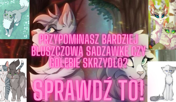 Przypominasz bardziej Bluszczową Sadzawkę czy Gołębie Skrzydło?