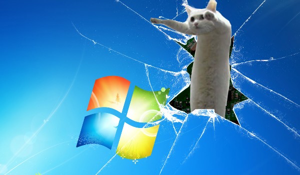 ile masz iq (ale real)