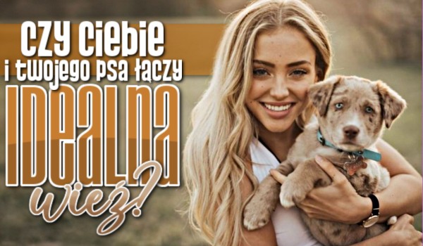 Czy Ciebie i Twojego psa łączy idealna więź?