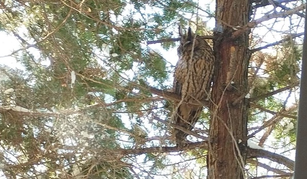 Na ile procent jesteś Ferenc?