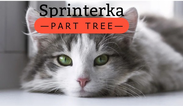 Sprinterka – Part Tree –