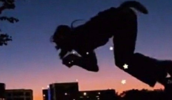 Czy jesteś therianem