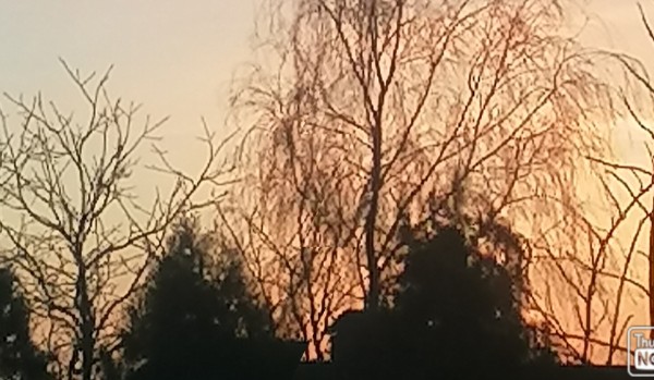 Jak można robić kupe