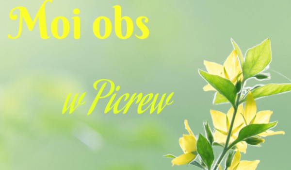 Moi obs w picrew – cz5