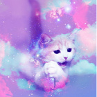 GalaxyMeow