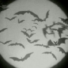 alicjuszekkkkk