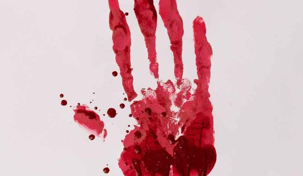 stary gołębiarz 4#