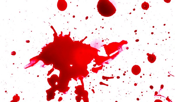 stary gołębiarz 5#