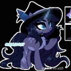 kot4duszek