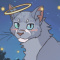 St4rTheCat