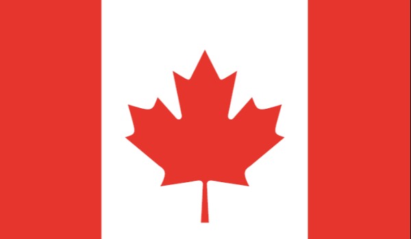 Zgadnij flagi Ameryki Północnej  po usuniętych elementach