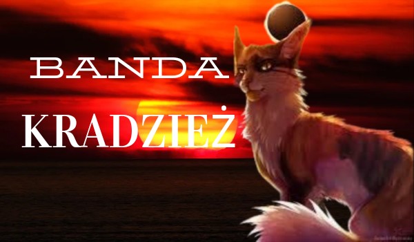 Banda – Kradzież