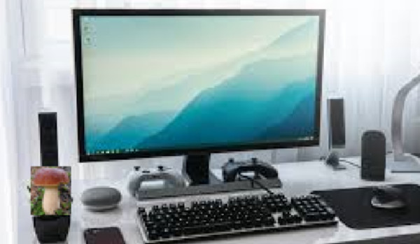 CZY ZNASZ SIĘ NA INFORMATYCE?!