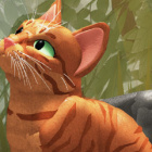 Rdzawy_WarriorCats000